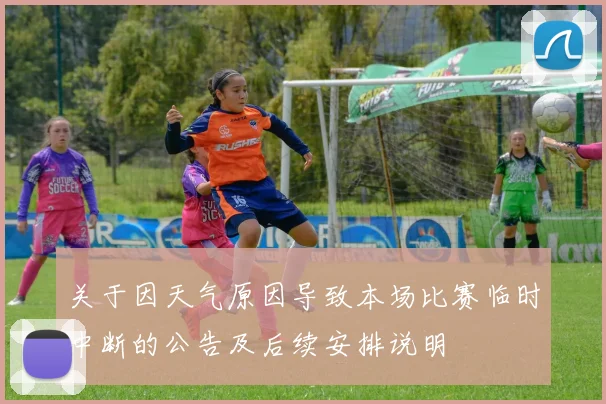 关于因天气原因导致本场比赛临时中断的公告及后续安排说明