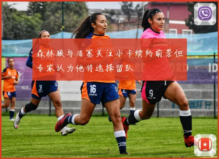 森林狼与活塞关注小卡续约前景但专家认为他将选择留队