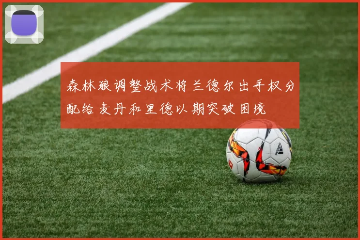 森林狼调整战术将兰德尔出手权分配给麦丹和里德以期突破困境