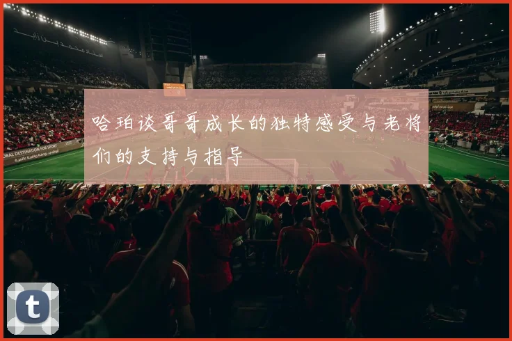 哈珀谈哥哥成长的独特感受与老将们的支持与指导