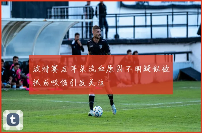波特赛后耳朵流血原因不明疑似被抓或咬伤引发关注